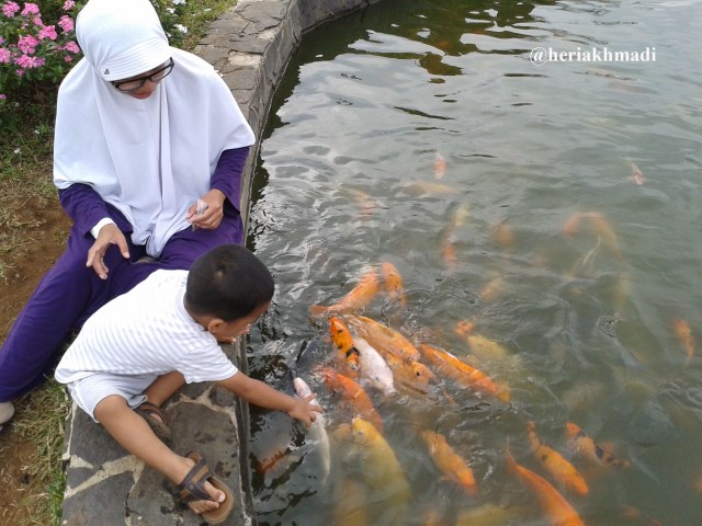 foto kasih makan ikan.jpg